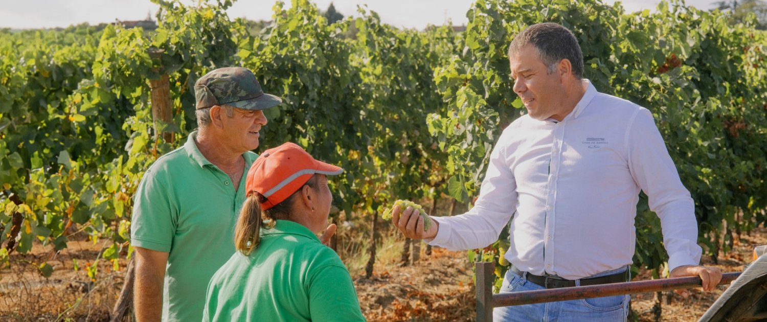 Diretor de enologia Aurélio Claro com cacho de uvas brancas na mão a explicar a dois colaboradores do campo a maturação das uvas, no meio da vinha de Santar, num dia ensolarado.